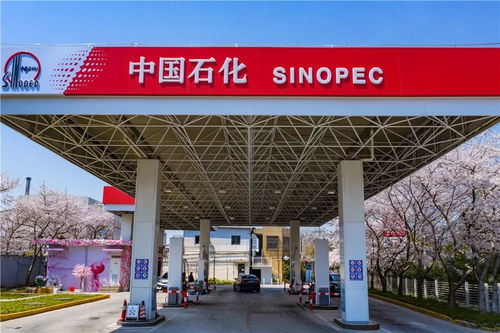 中国石化37周年庆 在能源领域谱写华章，租赁市场见证发展足迹