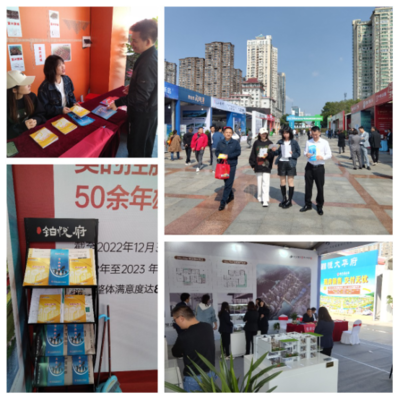 园区公积金助力岳阳惠民房交会，提供专业房地产咨询服务