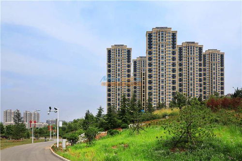 公园里小区 太行置业匠心打造，开启品质生活新篇章