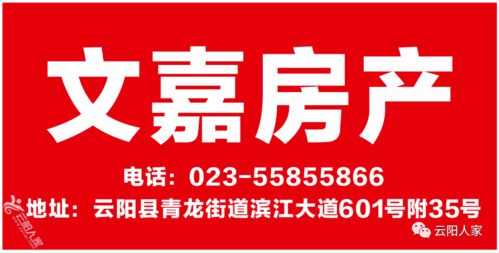 城心美居，生活与财富的双向选择